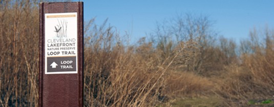 Glenville Real Estate & Community Information 