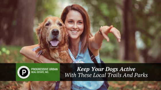 A healthy dog is a happy dog. Here are the best parks and trails in the area for keeping your canine family active.